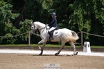 245-Neve_Moran-Clareville_golden_knight portfolio