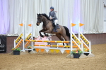 SBM_009766