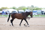 SBM_15243