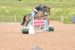 Cls 41, Ponies Mini 1.10m portfolio