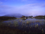 Black Mount 07
