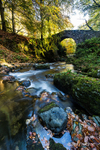 Autumn at Tollymore - Foley's Bridge