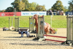 SBM_15277