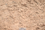 240720A-090353-13236