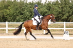 SBM_008584