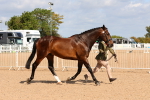 SBM_11162