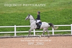 BPP_3982