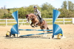 SBM_000769