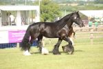 SBM_10375
