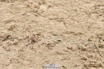 230511A-134404-00836