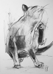 available originals portfolio