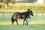 SBM_57774
