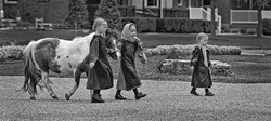 THE SIMPLE LIFE portfolio