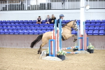 SBM_009176