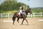 SBM_008872