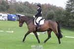 418-PENHILL.REX-Lesley.Mitton-DR portfolio