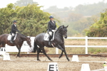 SBM_003993