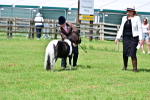 SBM_03677