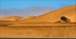 Namibia desert DSC_0052 Living Desert dunes and bush 3 A