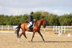 SBM_007482