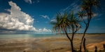 Low Tide
