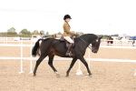 SBM_16475