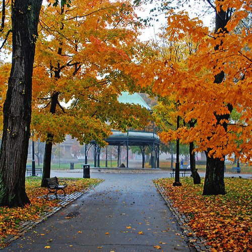 King's Square & the bandstand amid autumn splendor.