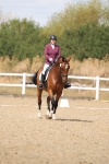 SBM_009784