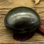 Polished Whitby Ammonite Nodule 042