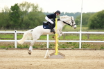 SBM_009276