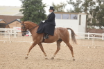 SBM_06421