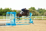 SBM_000977