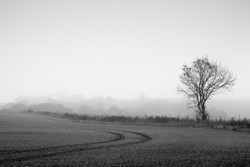 Marks in the South Corner