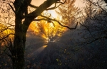 Sunset-Fire