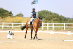 SBM_003978