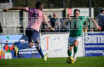 GFC v CHIPSTEAD 2023 portfolio
