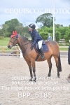 BPP_5185
