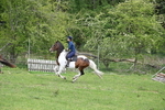 WJ6_3679
