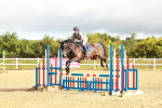 SBM_000291