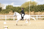 SBM_004295