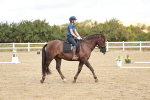 SBM_010233