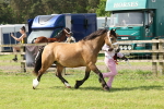 SBM_02187