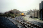 7th Nov 1991