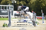 302-EN_TARO_DES_VERNIER-Oliver_Townend-SUNTrotUp+SJ portfolio
