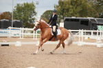 SBM_05901