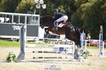 258-DHI_KING_NELSON-Barnie_Brotherton-SJ portfolio