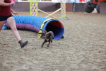 SBM_004512