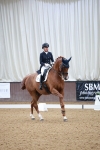 SBM_010201