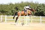 SBM_008019