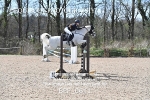 BPP_0611